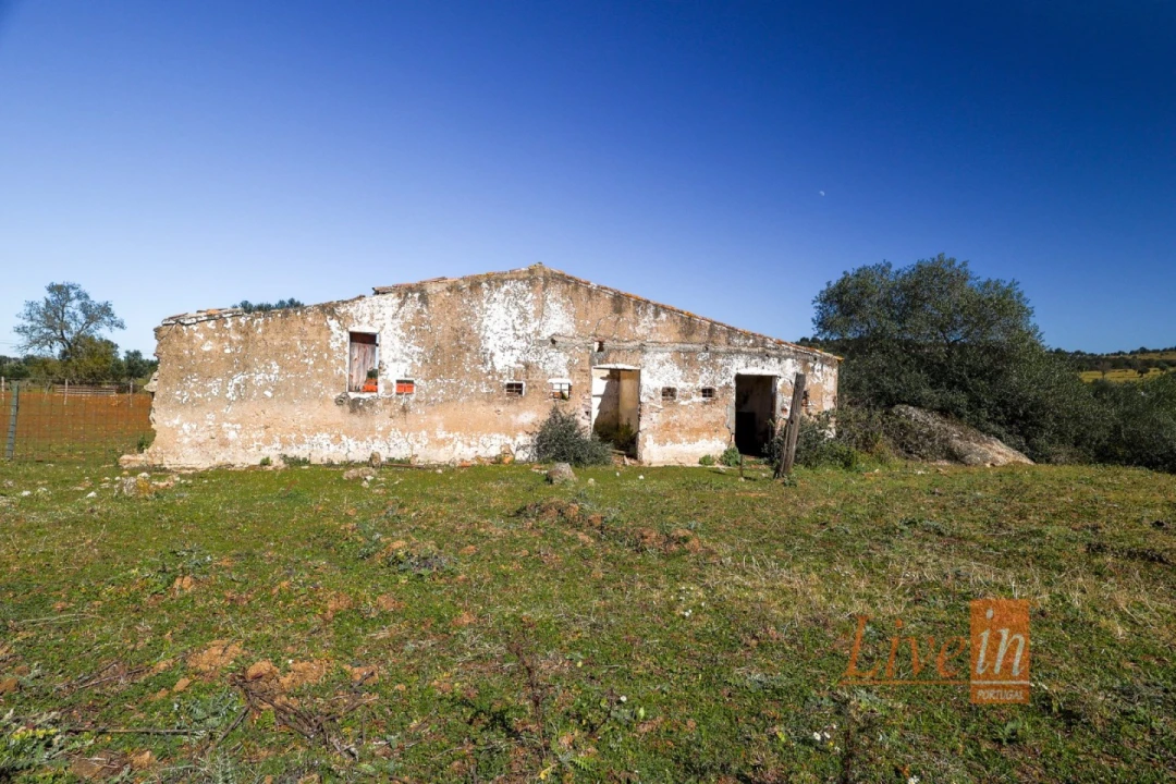 Quinta T8 para Venda em Alter do Chão Foto 23