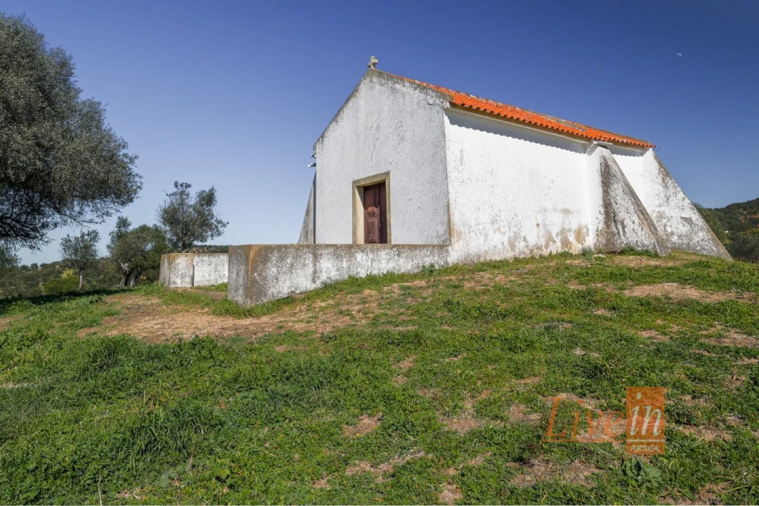 Quinta T8 para Venda em Alter do Chão Foto 26