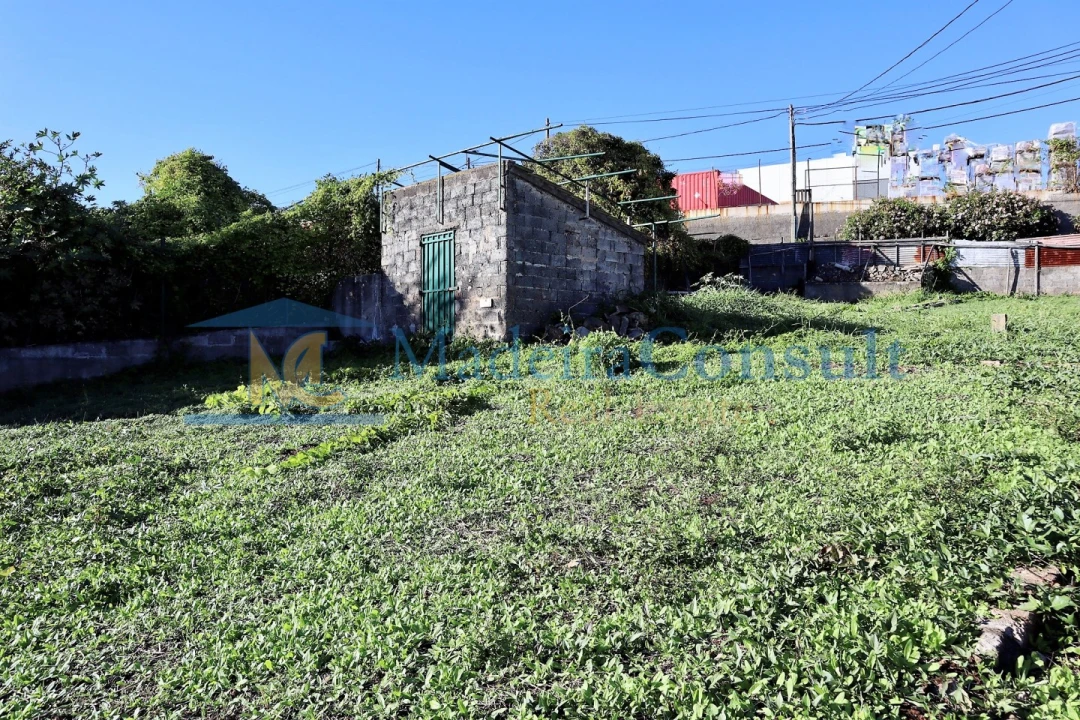 Terreno para Venda em São Martinho Foto 3