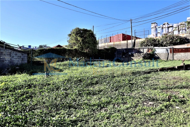 Terreno para Venda em São Martinho Foto 5