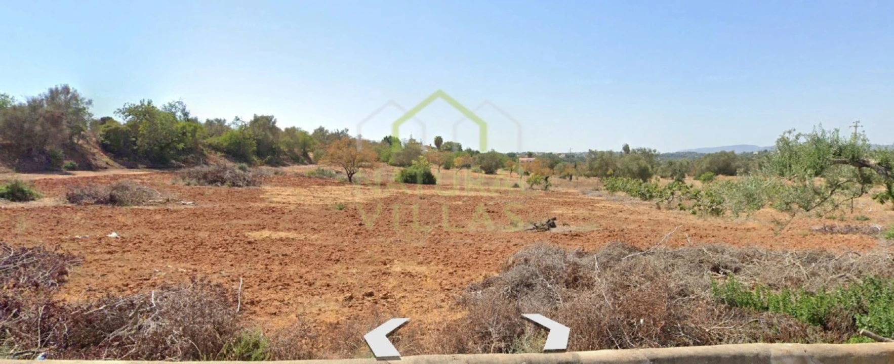 Terreno Agricola ou Rústico para Arrendamento em Pechão Foto 2