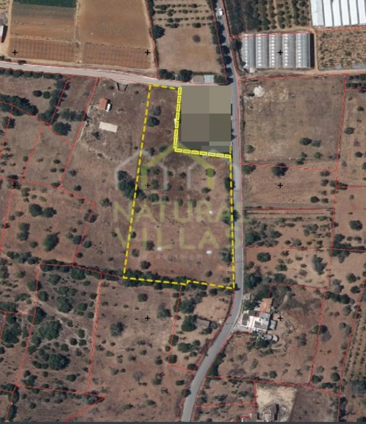 Terreno Agricola ou Rústico para Arrendamento em Pechão Foto 3