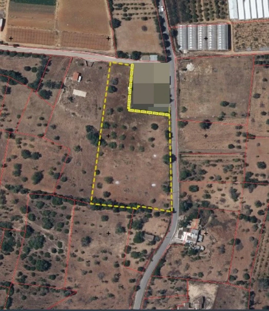 Terreno Agricola ou Rústico para Arrendamento em Pechão Planta 1