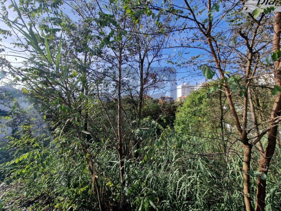 Terreno para Venda em Marvila, Ribeira Santarém, São Salvador, São Nicolau Foto 8