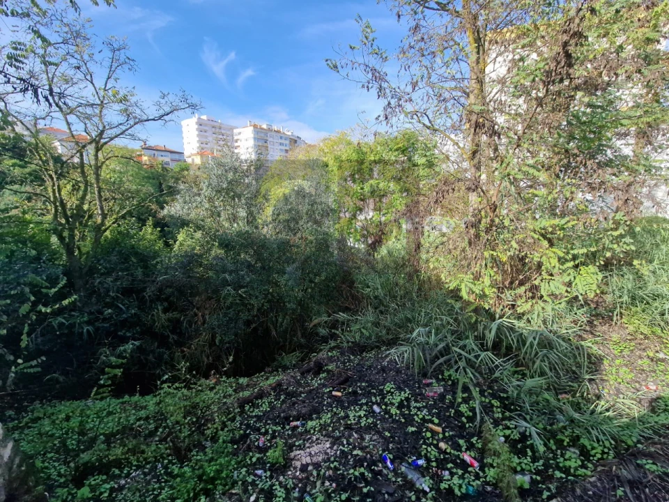 Terreno para Venda em Marvila, Ribeira Santarém, São Salvador, São Nicolau Foto 11