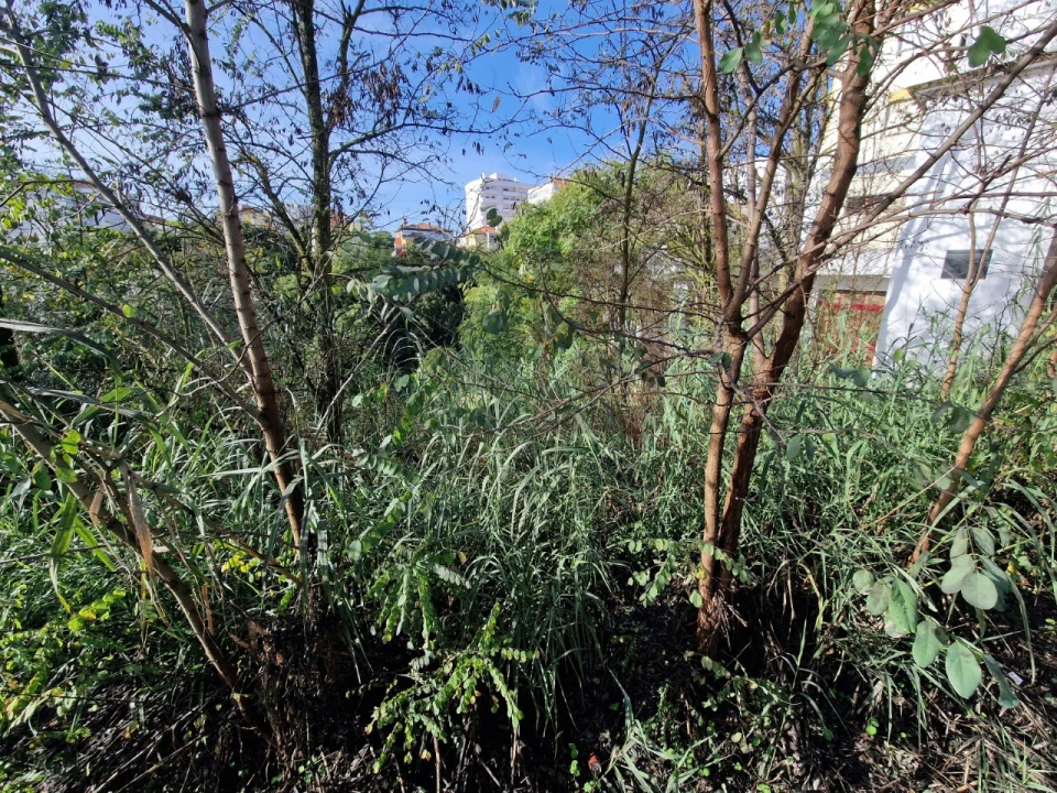 Terreno para Venda em Marvila, Ribeira Santarém, São Salvador, São Nicolau Foto 12