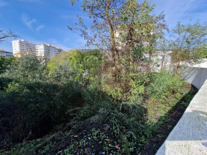 Terreno para Venda em Marvila, Ribeira Santarém, São Salvador, São Nicolau Foto 6