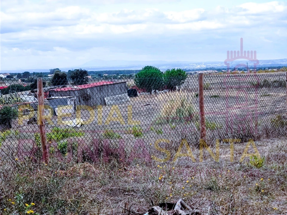 Armazém para Arrendamento em Fazendas de Almeirim Foto 7
