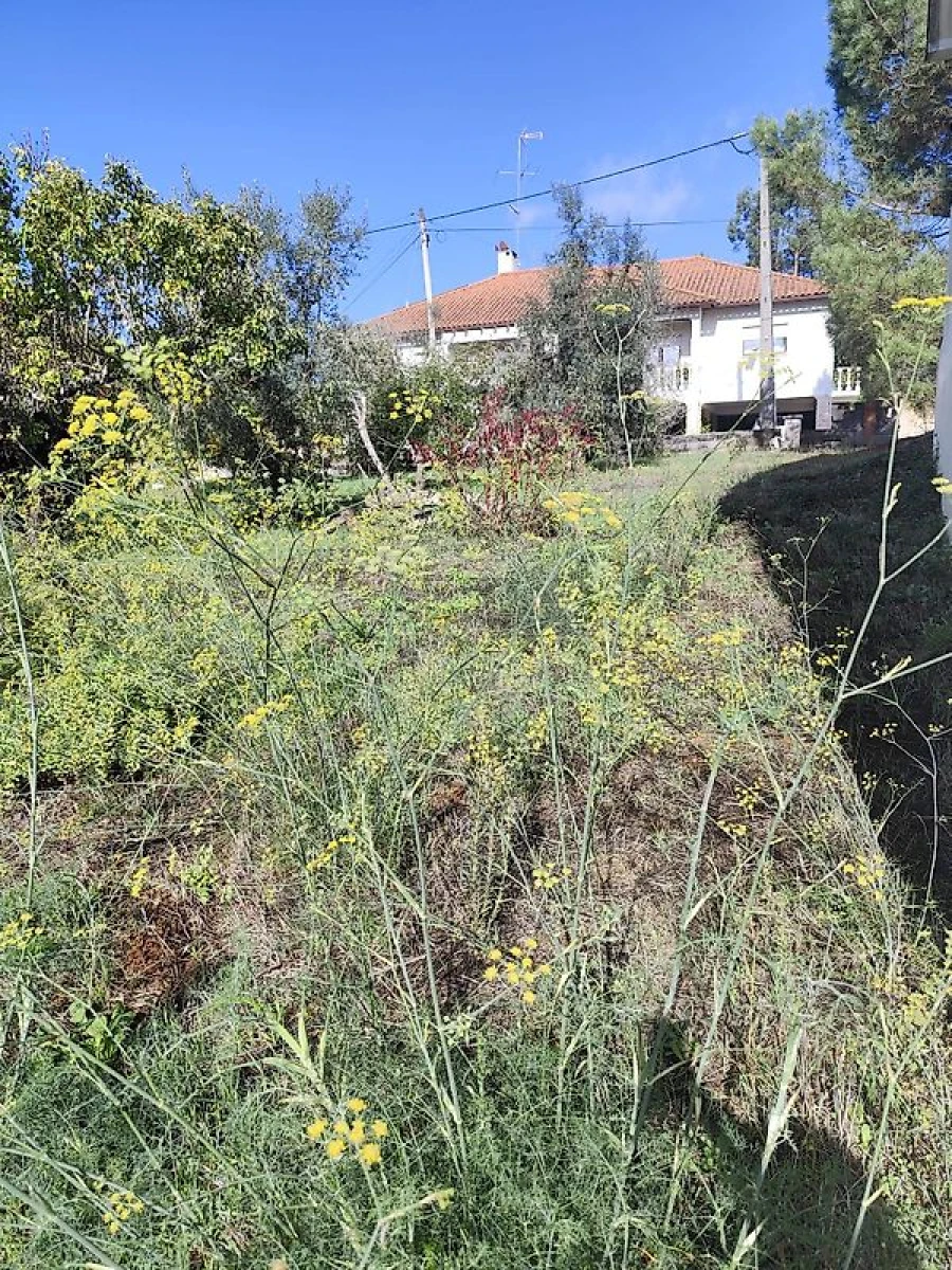 Terreno para Venda em Pousaflores Foto 17