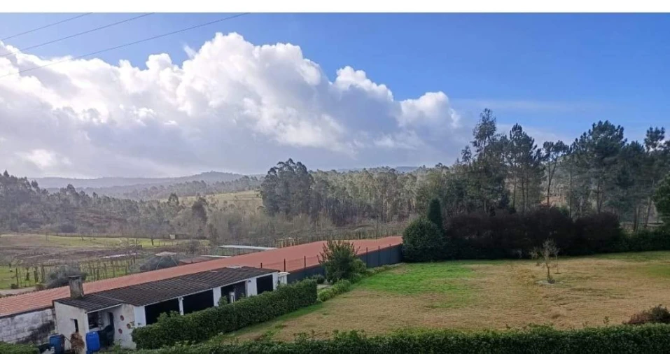 Terreno para Venda em Fragoso Foto 2