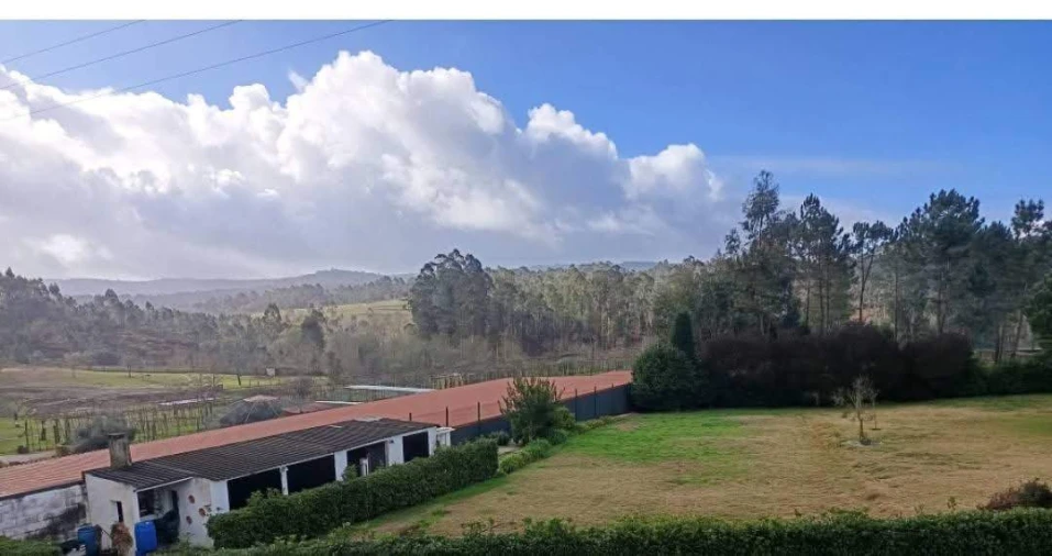 Terreno para Venda em Fragoso Foto 9