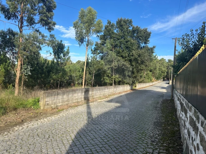 Terreno para Venda em Alvelos Foto 1