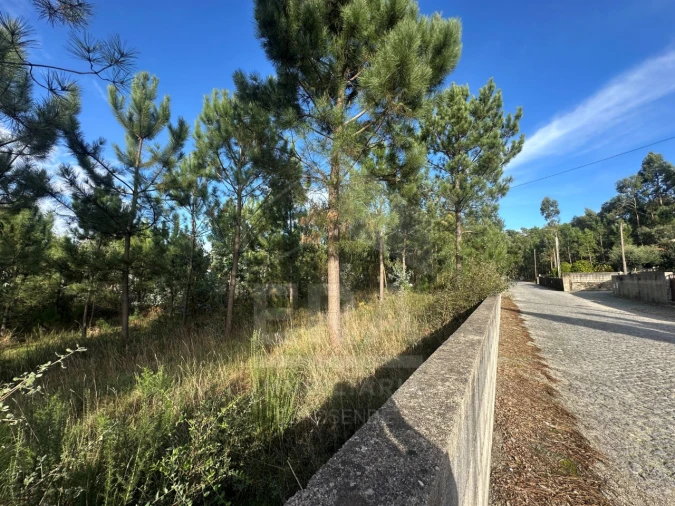 Terreno para Venda em Alvelos Foto 2