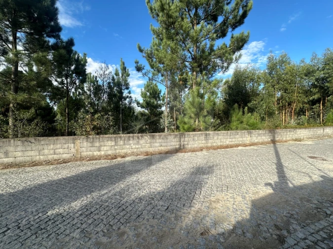 Terreno para Venda em Alvelos Foto 6