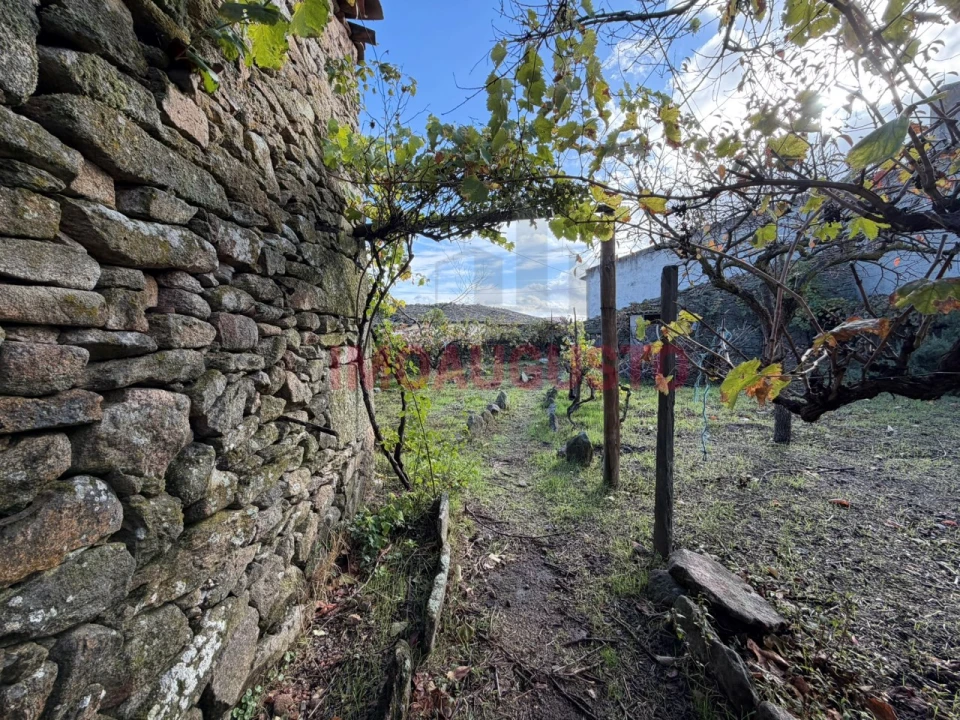 Moradia T3 para Venda em Escalhão Foto 13