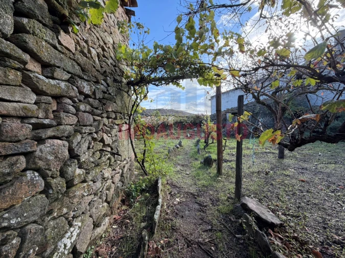 Moradia T3 para Venda em Escalhão Foto 13