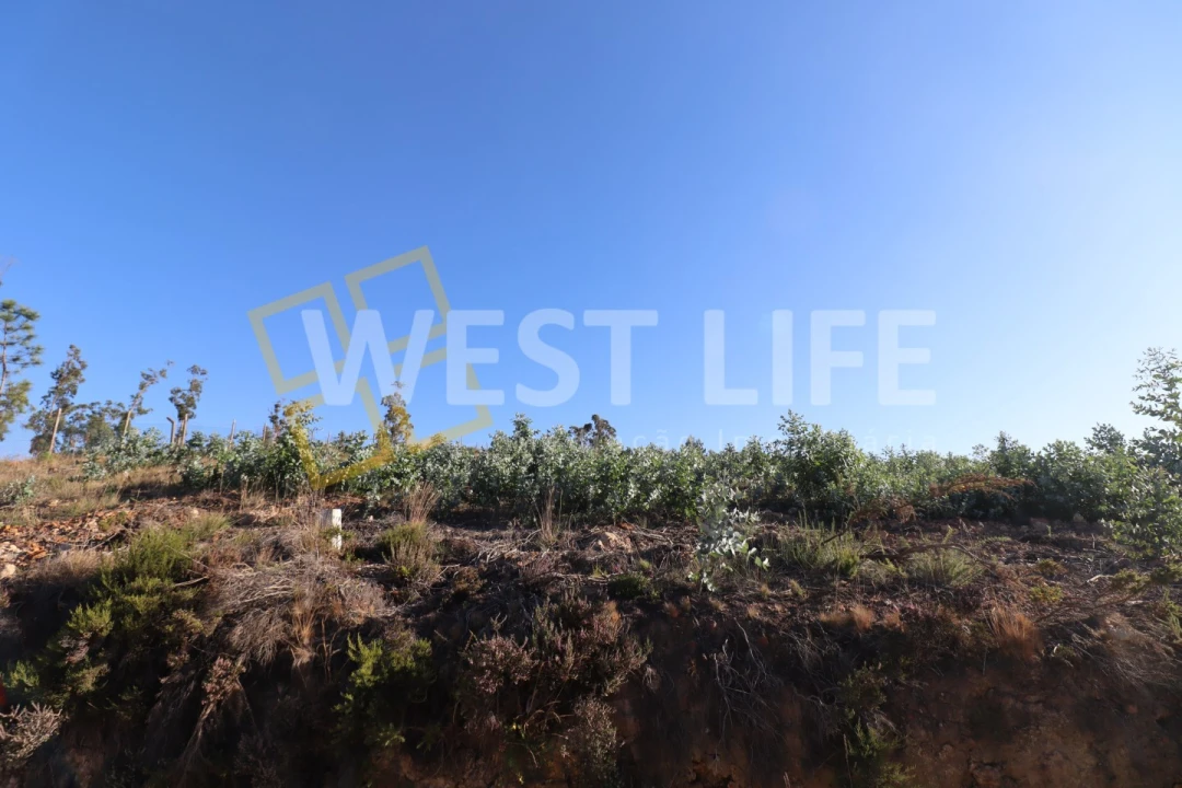 Terreno para Venda em Ponte do Rol Foto 5