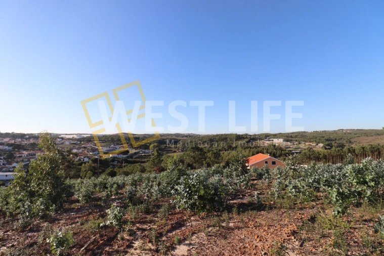 Terreno para Venda em Ponte do Rol