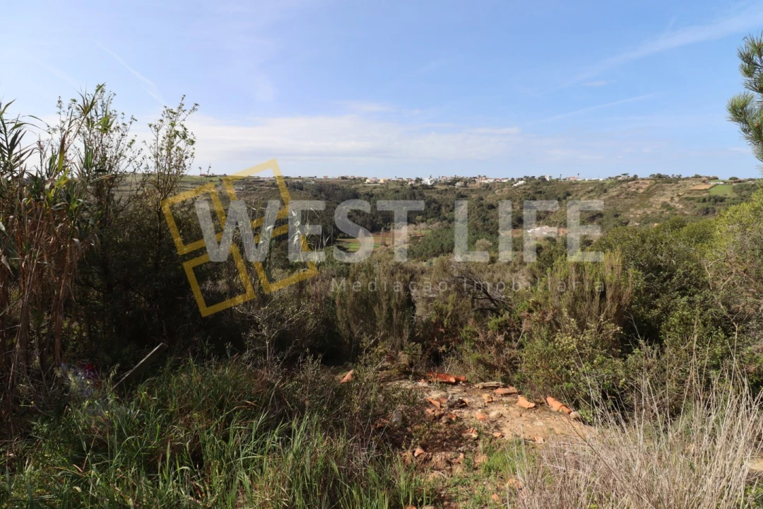 Terreno Agricola ou Rústico para Venda em Carvoeira Foto 4