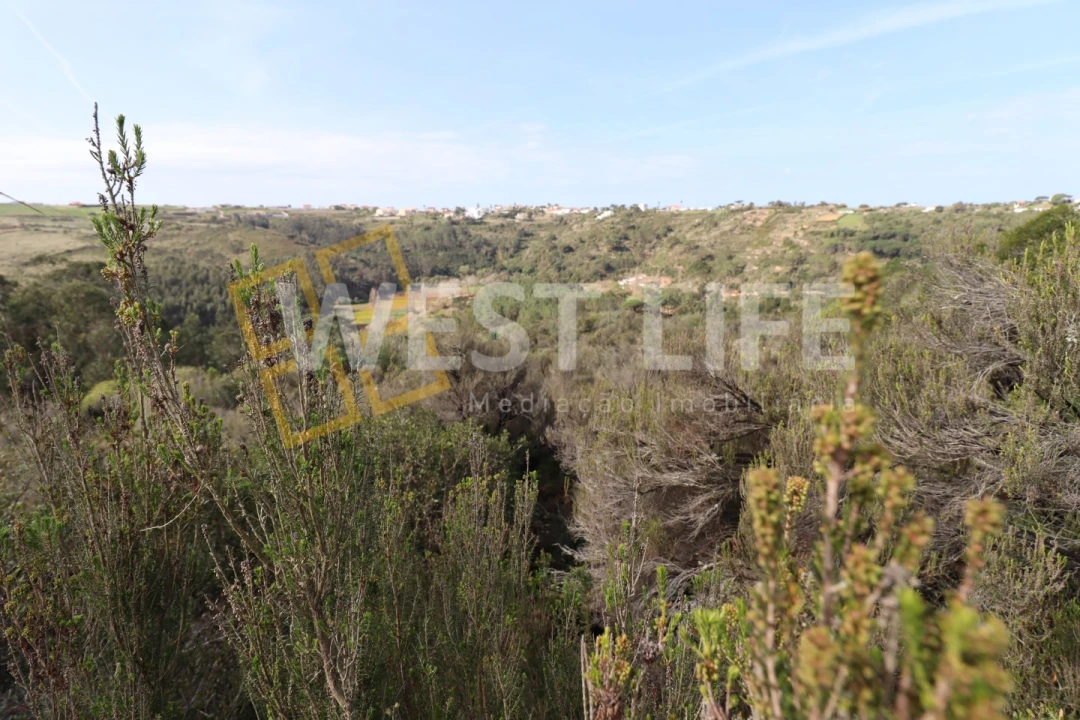 Terreno Agricola ou Rústico para Venda em Carvoeira Foto 8