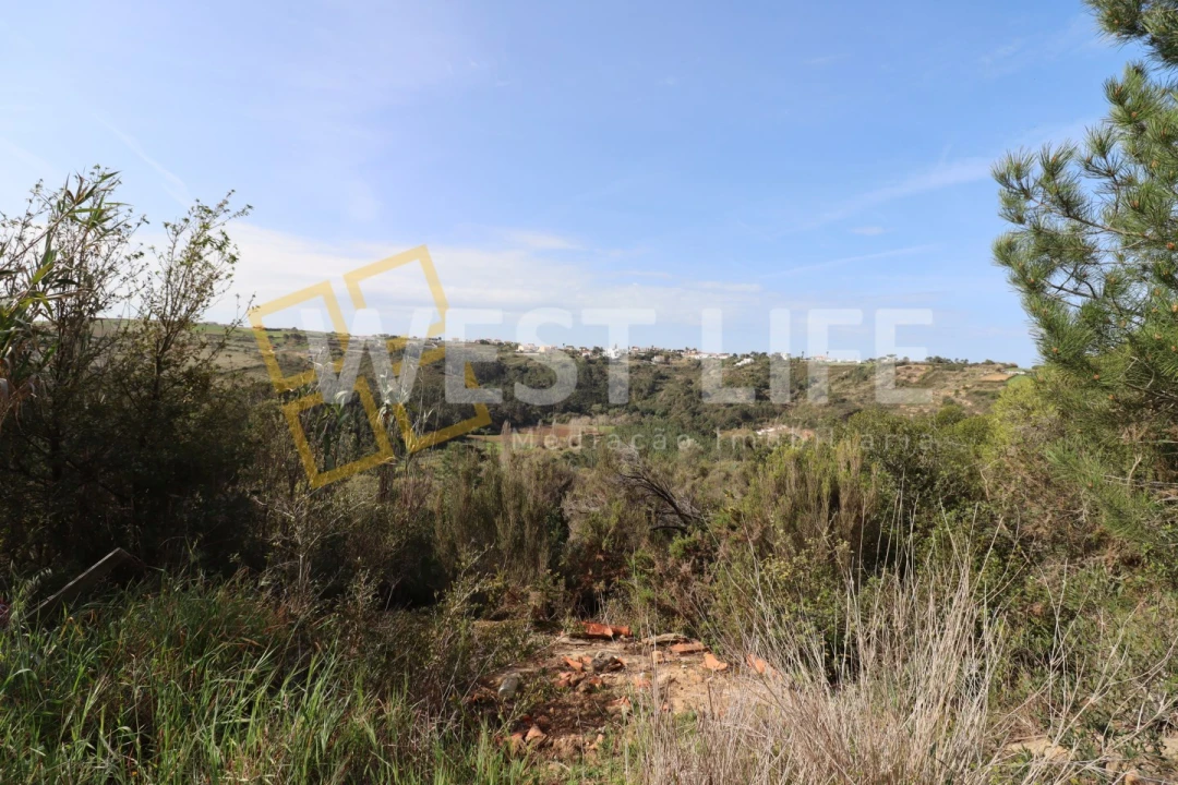 Terreno Agricola ou Rústico para Venda em Carvoeira Foto 11