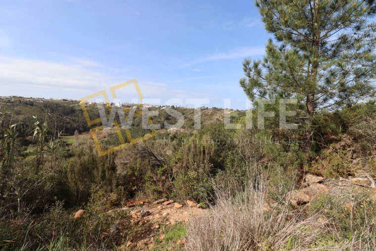 Terreno Agricola ou Rústico para Venda em Carvoeira