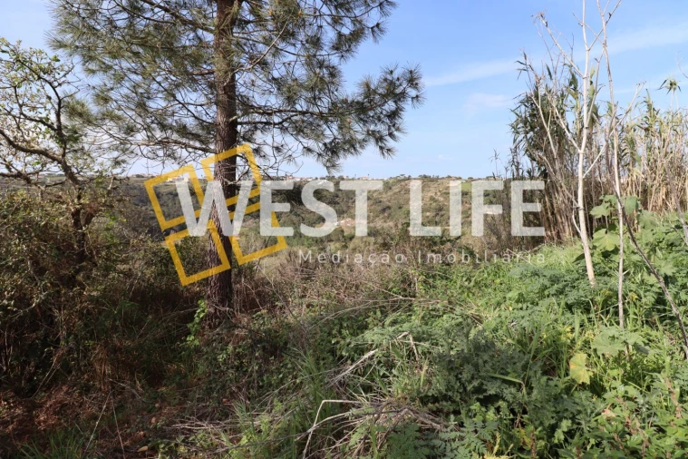 Terreno Agricola ou Rústico para Venda em Carvoeira Foto 2