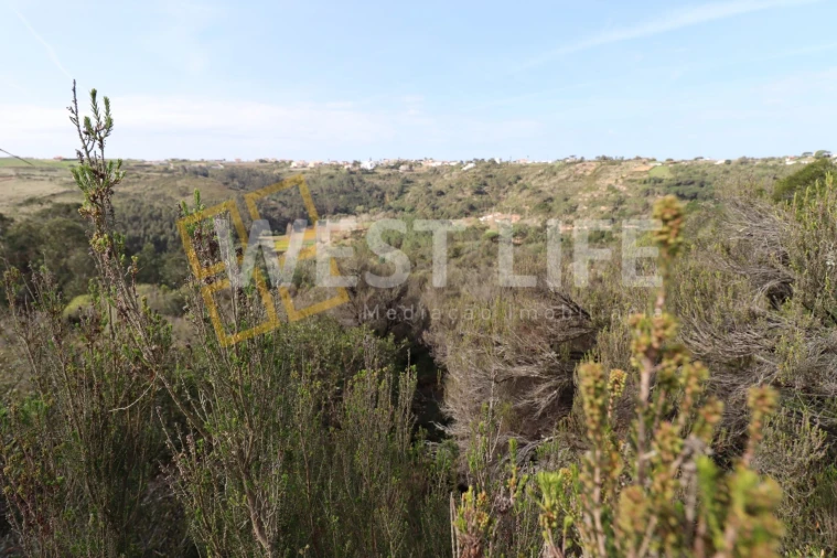 Terreno Agricola ou Rústico para Venda em Carvoeira Foto 8