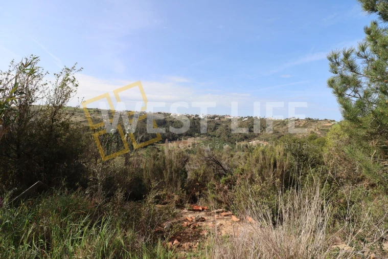 Terreno Agricola ou Rústico para Venda em Carvoeira Foto 11