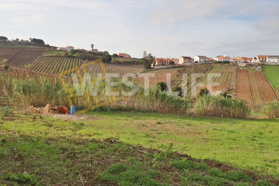 Terreno para Venda em Ventosa Foto 7