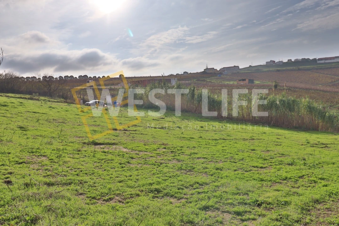 Terreno para Venda em Ventosa Foto 2