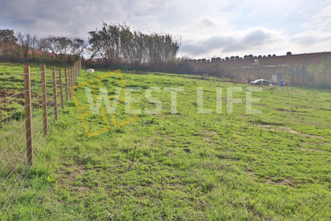Terreno para Venda em Ventosa Foto 17