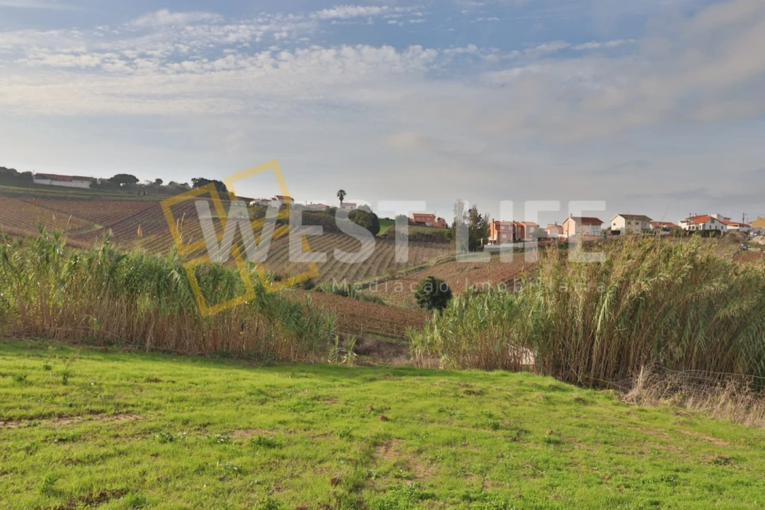 Terreno para Venda em Ventosa Foto 1