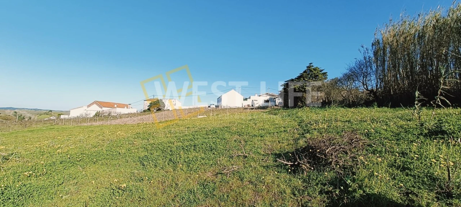 Terreno para Venda em Ventosa Foto 6