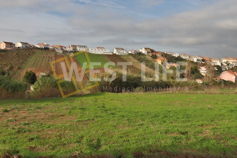 Terreno para Venda em Ventosa Foto 3