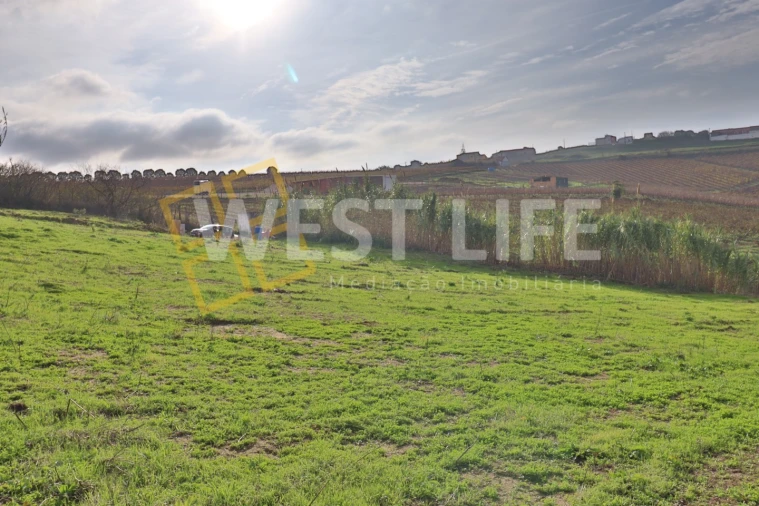 Terreno para Venda em Ventosa Foto 2