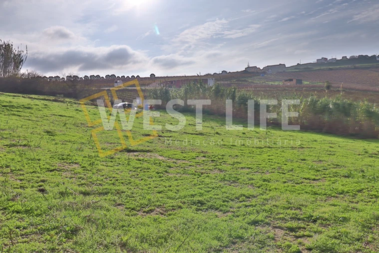 Terreno para Venda em Ventosa Foto 18