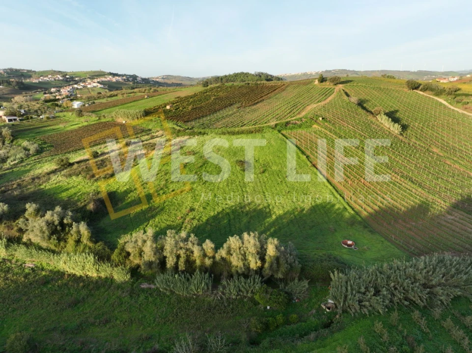 Terreno Agricola ou Rústico para Venda em Azueira e Sobral da Abelheira Foto 18