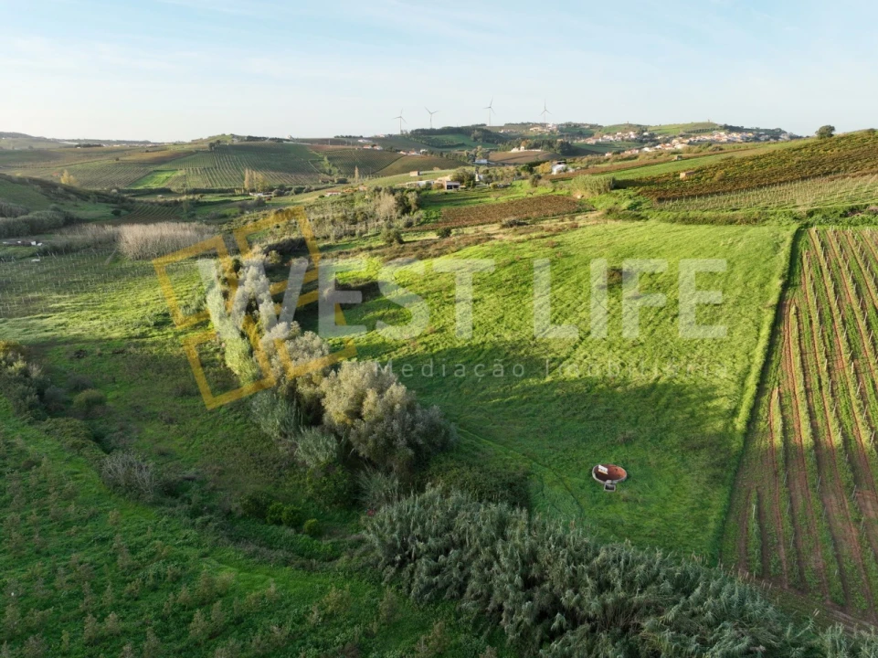 Terreno Agricola ou Rústico para Venda em Azueira e Sobral da Abelheira Foto 17
