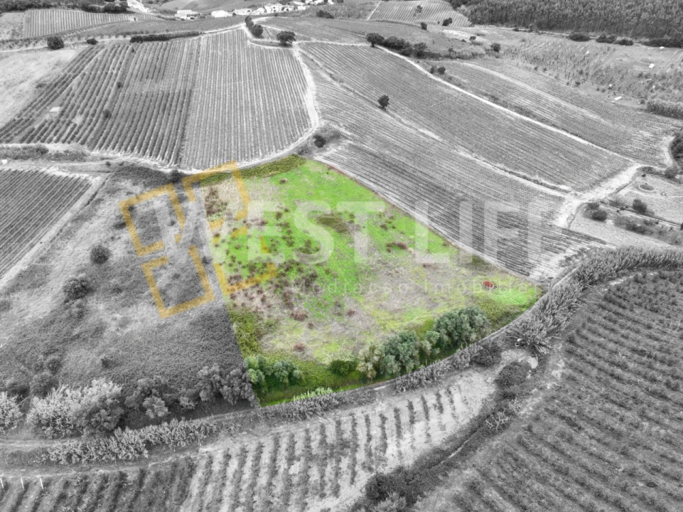 Terreno Agricola ou Rústico para Venda em Azueira e Sobral da Abelheira Foto 2