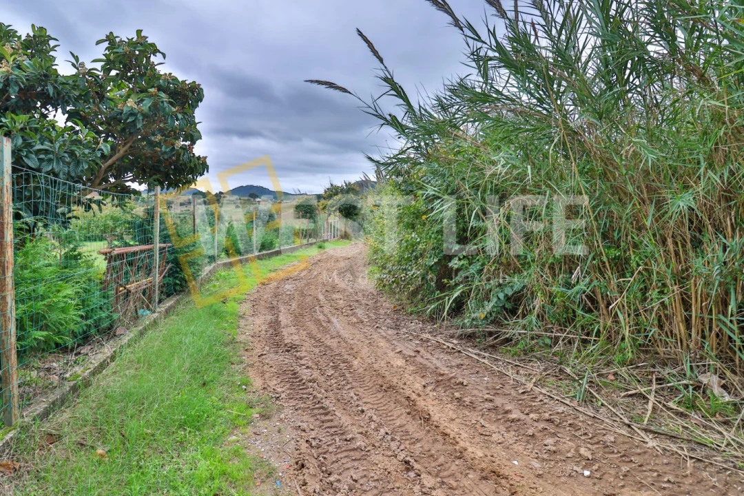 Terreno Agricola ou Rústico para Venda em Azueira e Sobral da Abelheira Foto 5