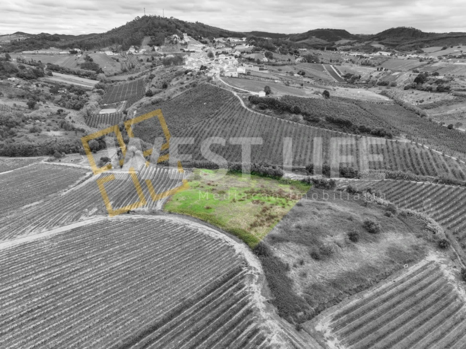 Terreno Agricola ou Rústico para Venda em Azueira e Sobral da Abelheira Foto 7