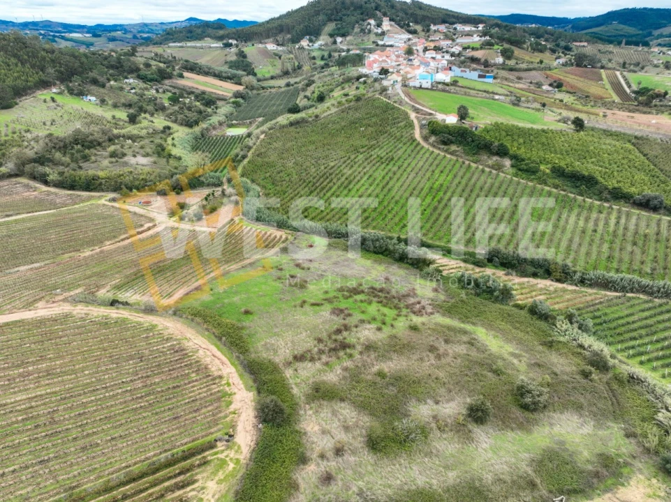 Terreno Agricola ou Rústico para Venda em Azueira e Sobral da Abelheira Foto 1