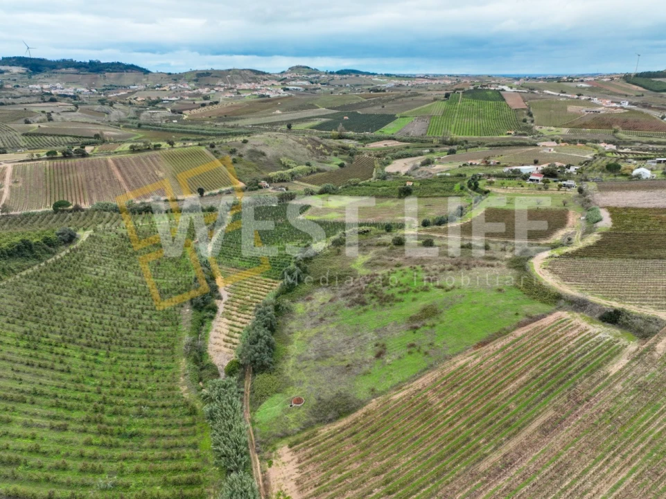 Terreno Agricola ou Rústico para Venda em Azueira e Sobral da Abelheira Foto 8