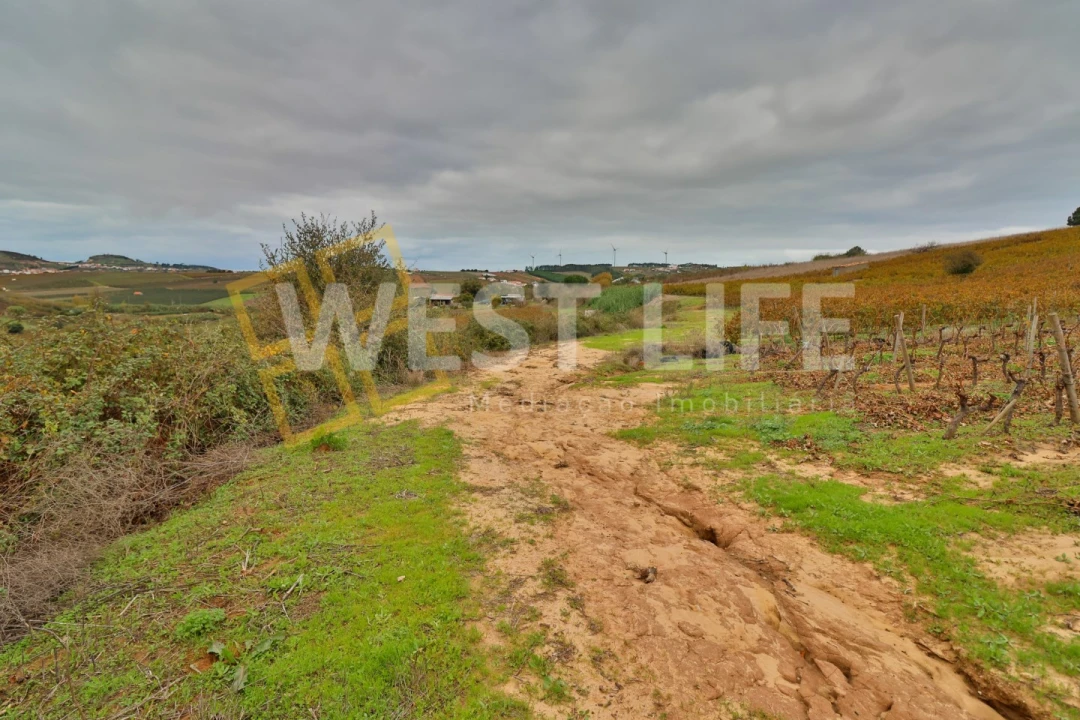 Terreno Agricola ou Rústico para Venda em Azueira e Sobral da Abelheira Foto 10