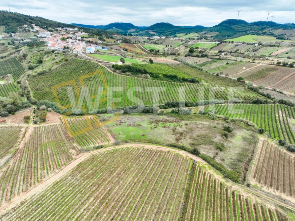 Terreno Agricola ou Rústico para Venda em Azueira e Sobral da Abelheira Foto 15