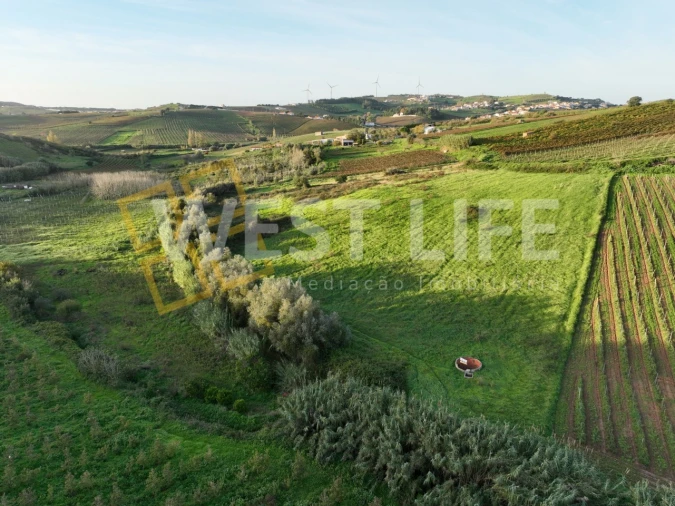 Terreno Agricola ou Rústico para Venda em Azueira e Sobral da Abelheira Foto 17