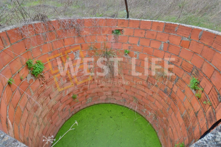 Terreno Agricola ou Rústico para Venda em Azueira e Sobral da Abelheira Foto 2
