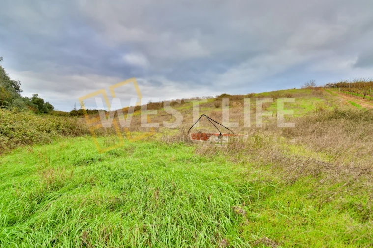 Terreno Agricola ou Rústico para Venda em Azueira e Sobral da Abelheira Foto 3