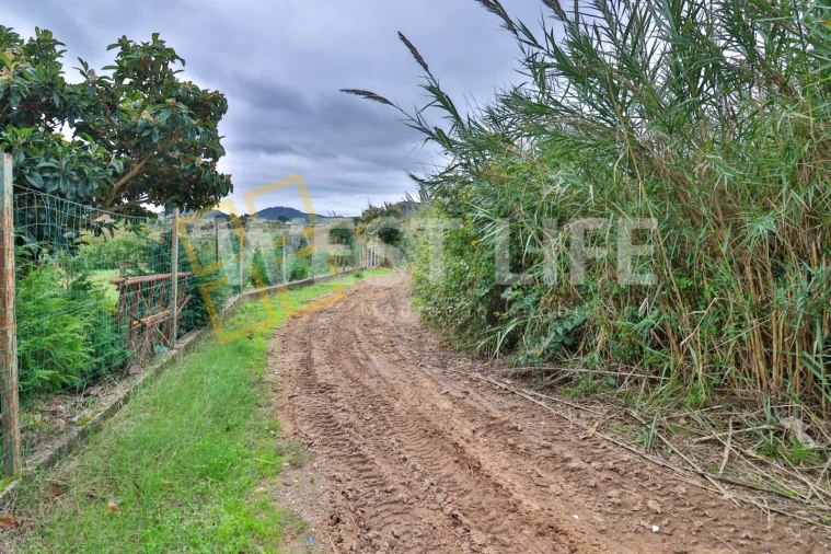 Terreno Agricola ou Rústico para Venda em Azueira e Sobral da Abelheira Foto 4